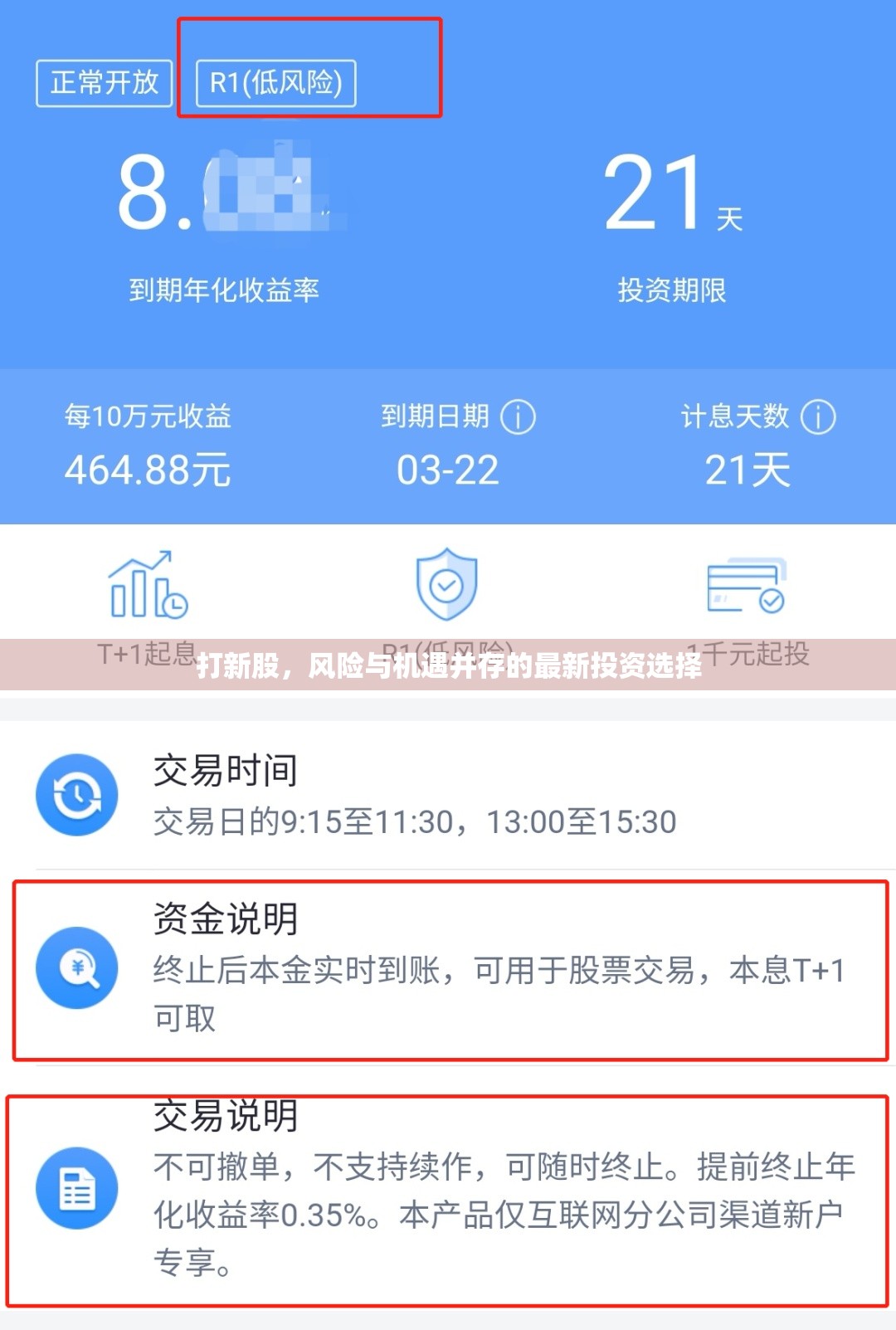 打新股，風(fēng)險(xiǎn)與機(jī)遇并存的最新投資選擇