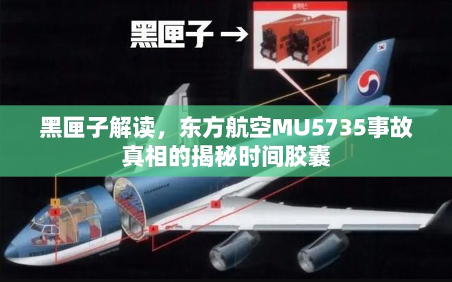 黑匣子解讀，東方航空MU5735事故真相的揭秘時間膠囊
