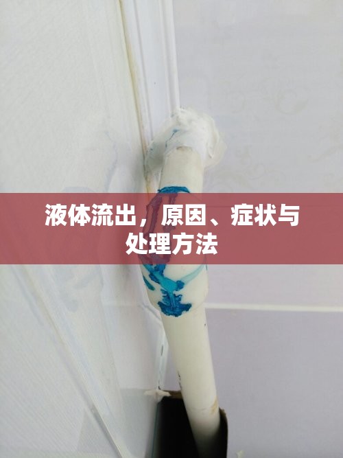液體流出，原因、癥狀與處理方法