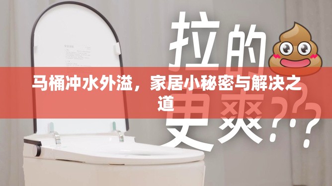 馬桶沖水外溢，家居小秘密與解決之道