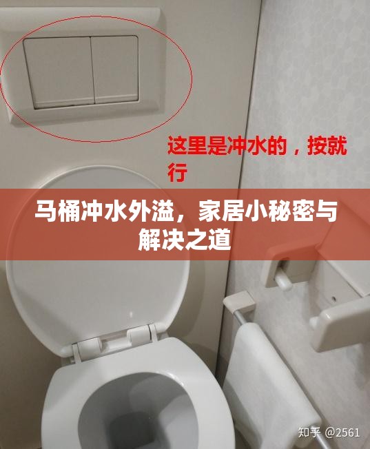 馬桶沖水外溢，家居小秘密與解決之道