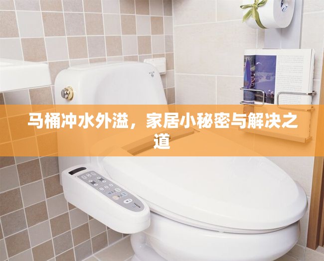馬桶沖水外溢，家居小秘密與解決之道