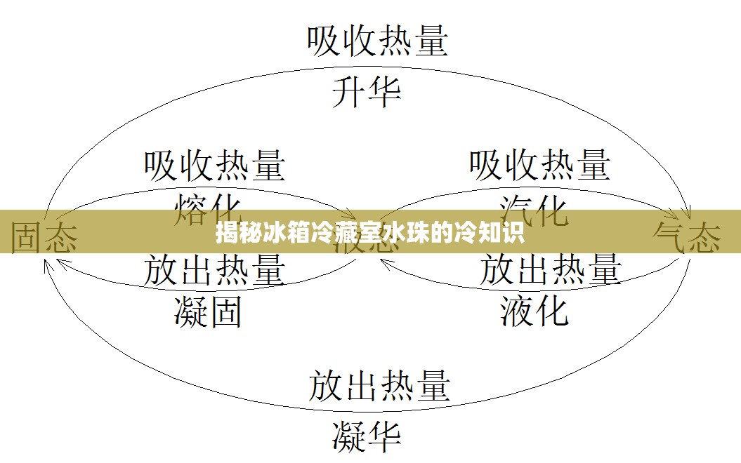 揭秘冰箱冷藏室水珠的冷知識
