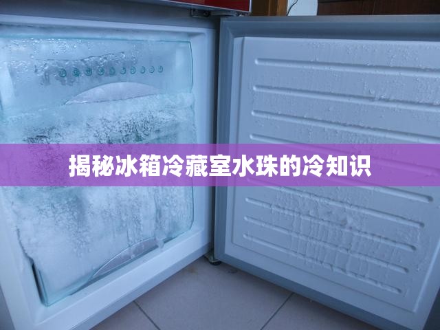 揭秘冰箱冷藏室水珠的冷知識