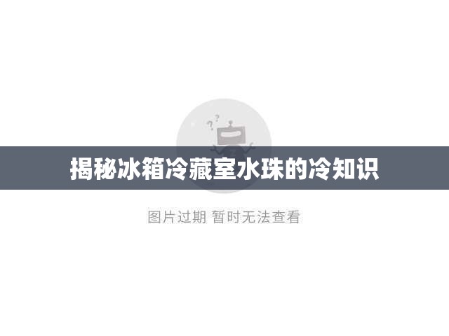 揭秘冰箱冷藏室水珠的冷知識