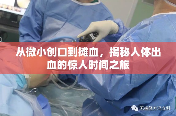 從微小創(chuàng)口到攤血，揭秘人體出血的驚人時(shí)間之旅