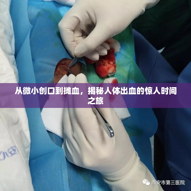 從微小創(chuàng)口到攤血，揭秘人體出血的驚人時(shí)間之旅