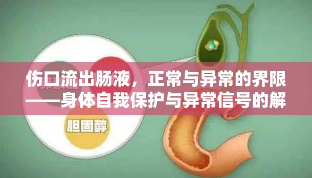 傷口流出腸液，正常與異常的界限——身體自我保護(hù)與異常信號的解析