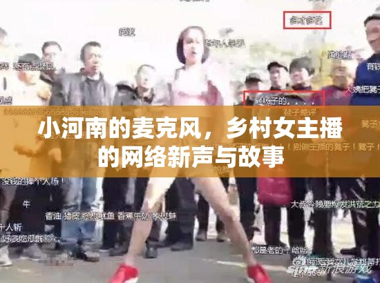 小河南的麥克風(fēng)，鄉(xiāng)村女主播的網(wǎng)絡(luò)新聲與故事