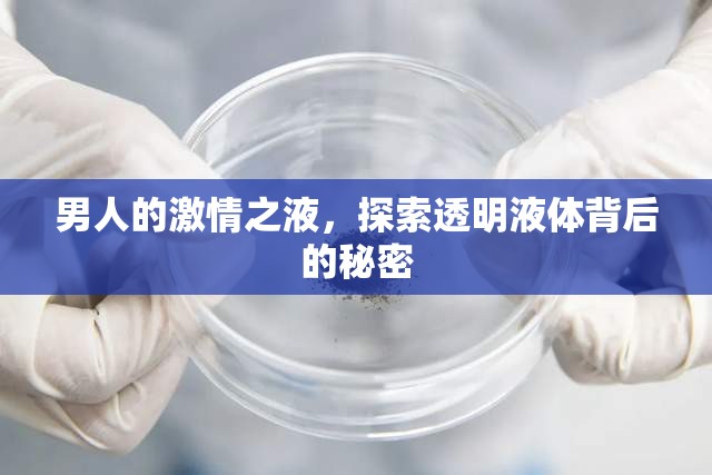 男人的激情之液，探索透明液體背后的秘密