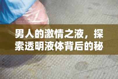 男人的激情之液，探索透明液體背后的秘密