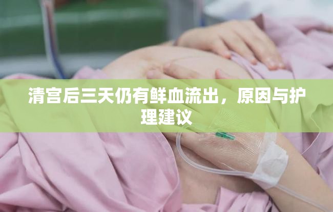 清宮后三天仍有鮮血流出，原因與護理建議