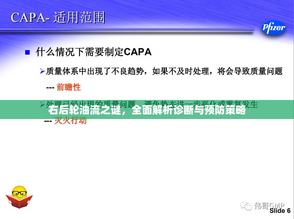右后輪油流之謎，全面解析診斷與預(yù)防策略