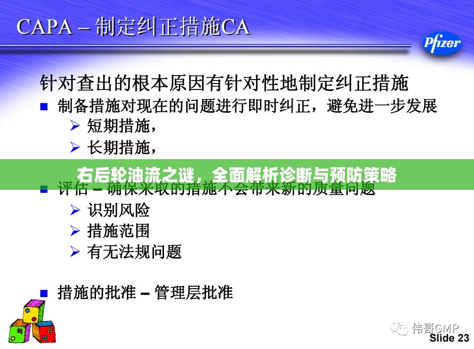 右后輪油流之謎，全面解析診斷與預(yù)防策略