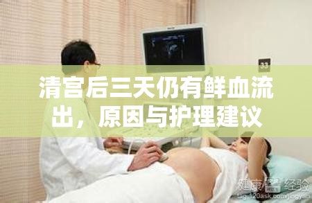 清宮后三天仍有鮮血流出，原因與護理建議