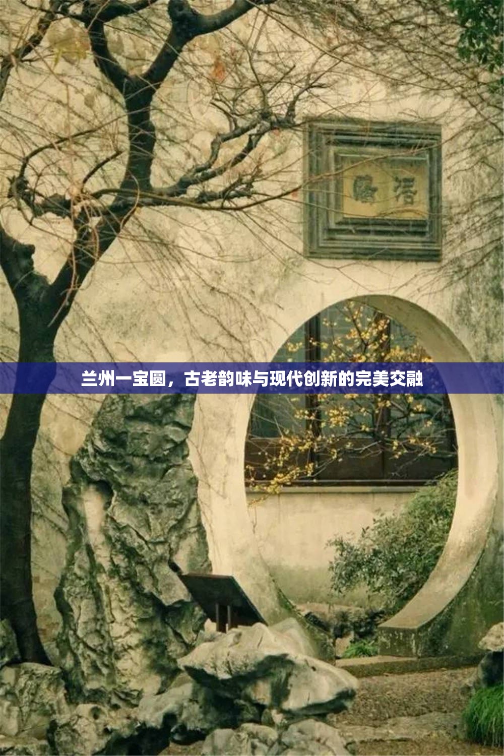 蘭州一寶圓，古老韻味與現(xiàn)代創(chuàng)新的完美交融