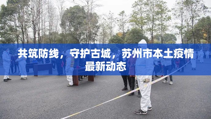 共筑防線，守護古城，蘇州市本土疫情最新動態(tài)