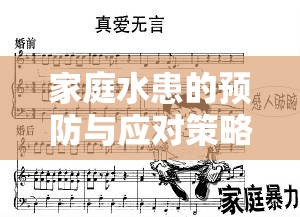 家庭水患的預(yù)防與應(yīng)對策略