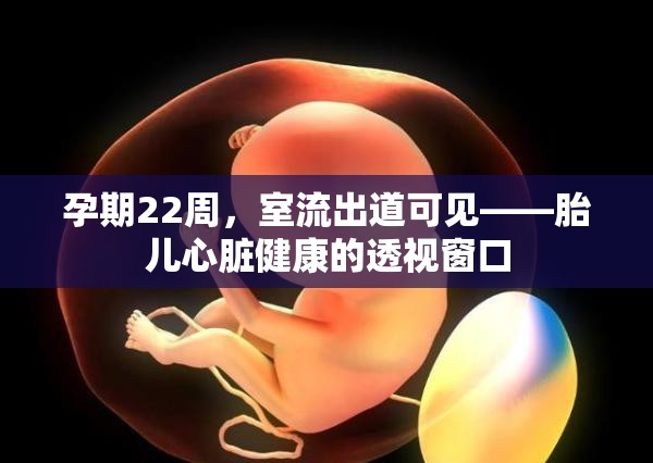孕期22周，室流出道可見——胎兒心臟健康的透視窗口