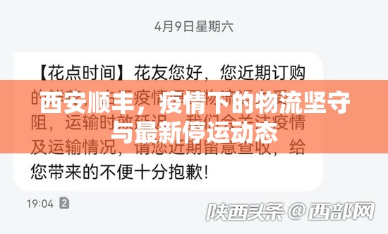 西安順豐，疫情下的物流堅(jiān)守與最新停運(yùn)動(dòng)態(tài)