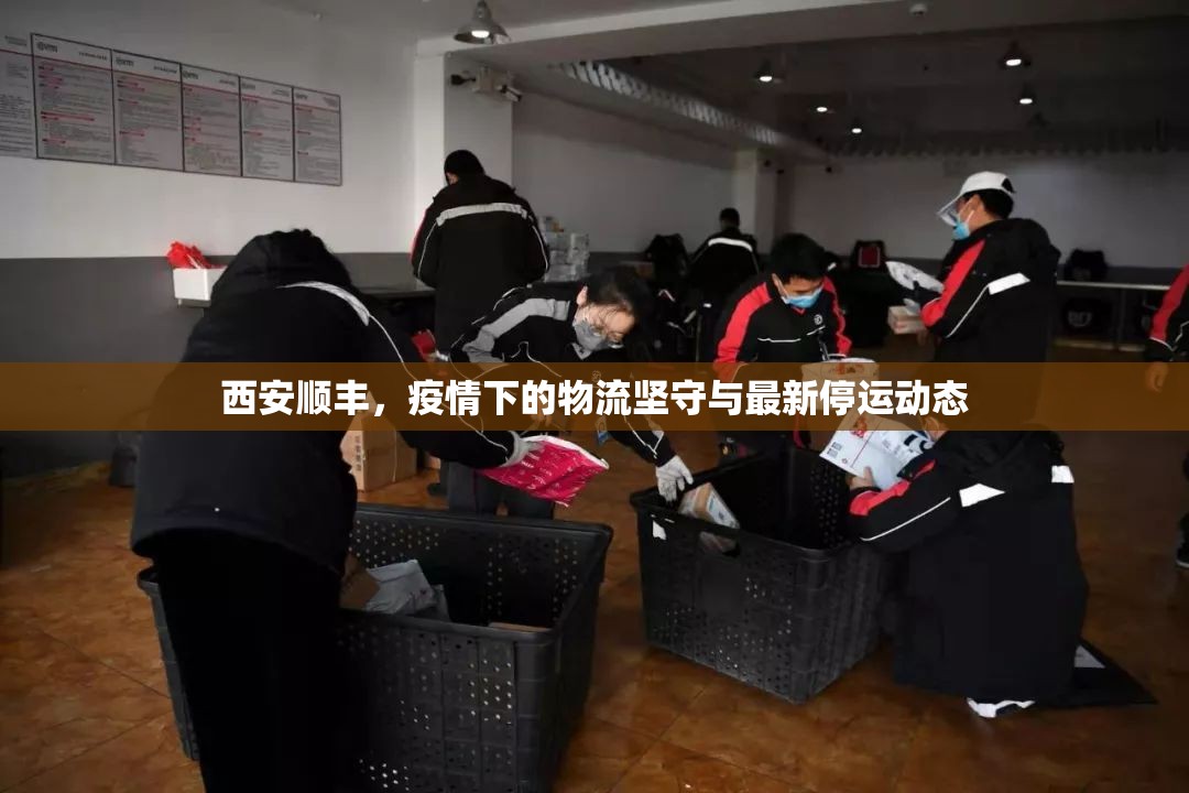 西安順豐，疫情下的物流堅(jiān)守與最新停運(yùn)動(dòng)態(tài)