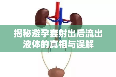 揭秘避孕套射出后流出液體的真相與誤解