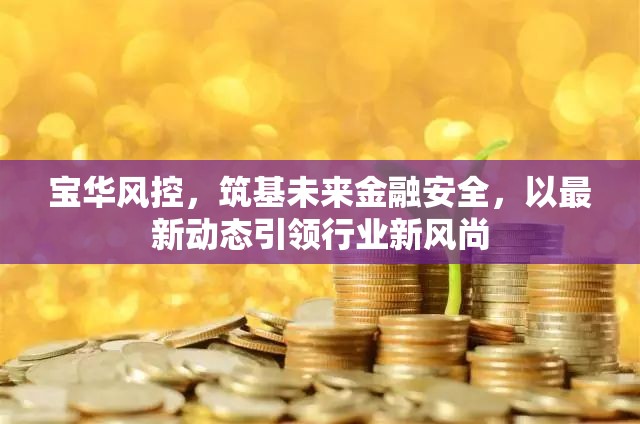 寶華風(fēng)控，筑基未來(lái)金融安全，以最新動(dòng)態(tài)引領(lǐng)行業(yè)新風(fēng)尚