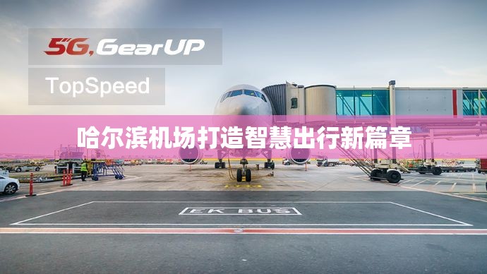 哈爾濱機場打造智慧出行新篇章