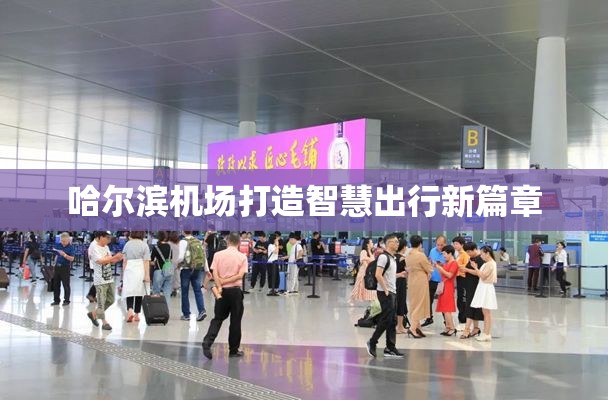 哈爾濱機場打造智慧出行新篇章