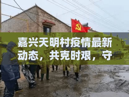 嘉興天明村疫情最新動(dòng)態(tài)，共克時(shí)艱，守護(hù)綠意家園