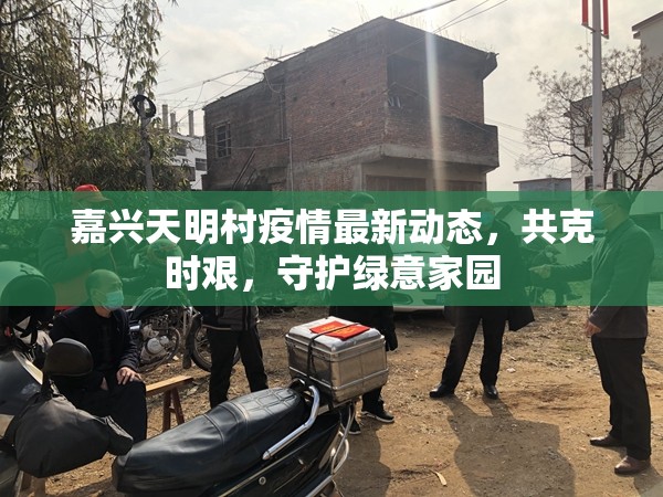 嘉興天明村疫情最新動(dòng)態(tài)，共克時(shí)艱，守護(hù)綠意家園
