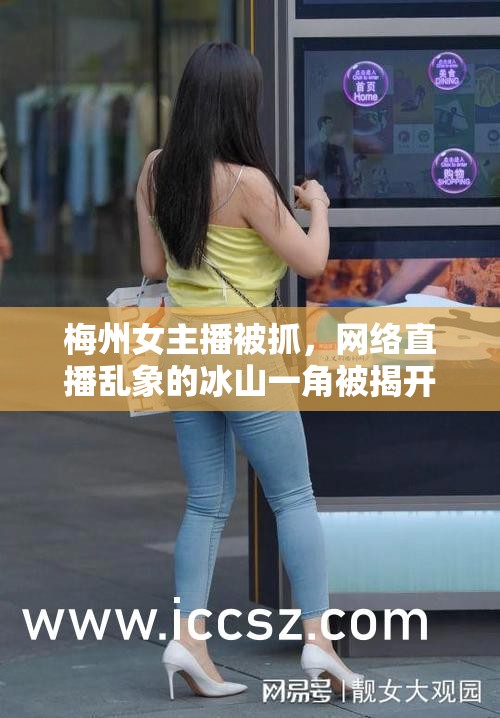 梅州女主播被抓，網(wǎng)絡(luò)直播亂象的冰山一角被揭開(kāi)