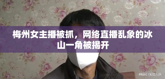 梅州女主播被抓，網(wǎng)絡(luò)直播亂象的冰山一角被揭開(kāi)