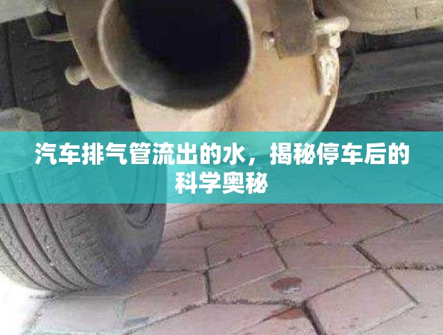 汽車排氣管流出的水，揭秘停車后的科學(xué)奧秘