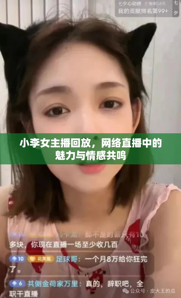 小李女主播回放，網(wǎng)絡(luò)直播中的魅力與情感共鳴