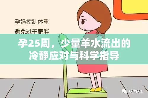 孕25周，少量羊水流出的冷靜應(yīng)對與科學(xué)指導(dǎo)