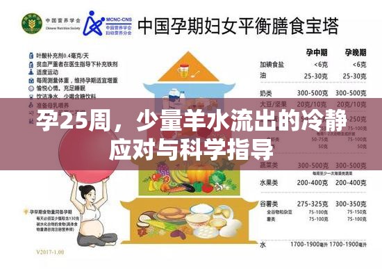 孕25周，少量羊水流出的冷靜應(yīng)對與科學(xué)指導(dǎo)