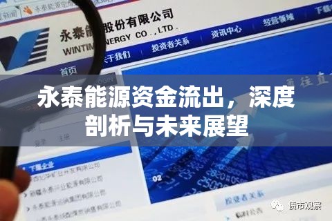 永泰能源資金流出，深度剖析與未來(lái)展望