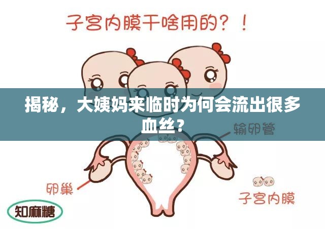 揭秘，大姨媽來臨時為何會流出很多血絲？