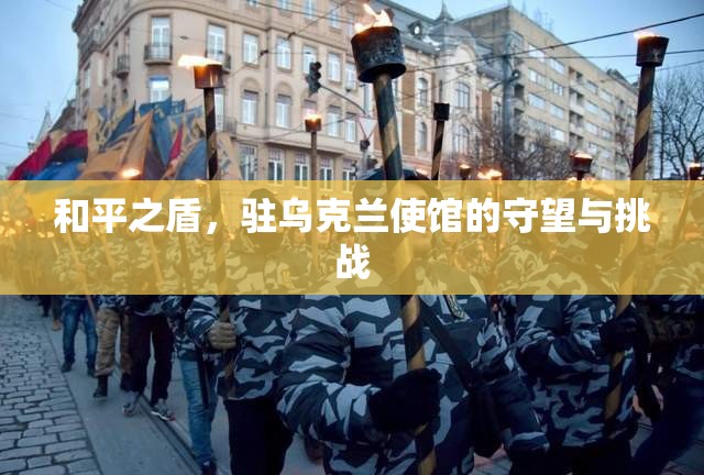 和平之盾，駐烏克蘭使館的守望與挑戰(zhàn)