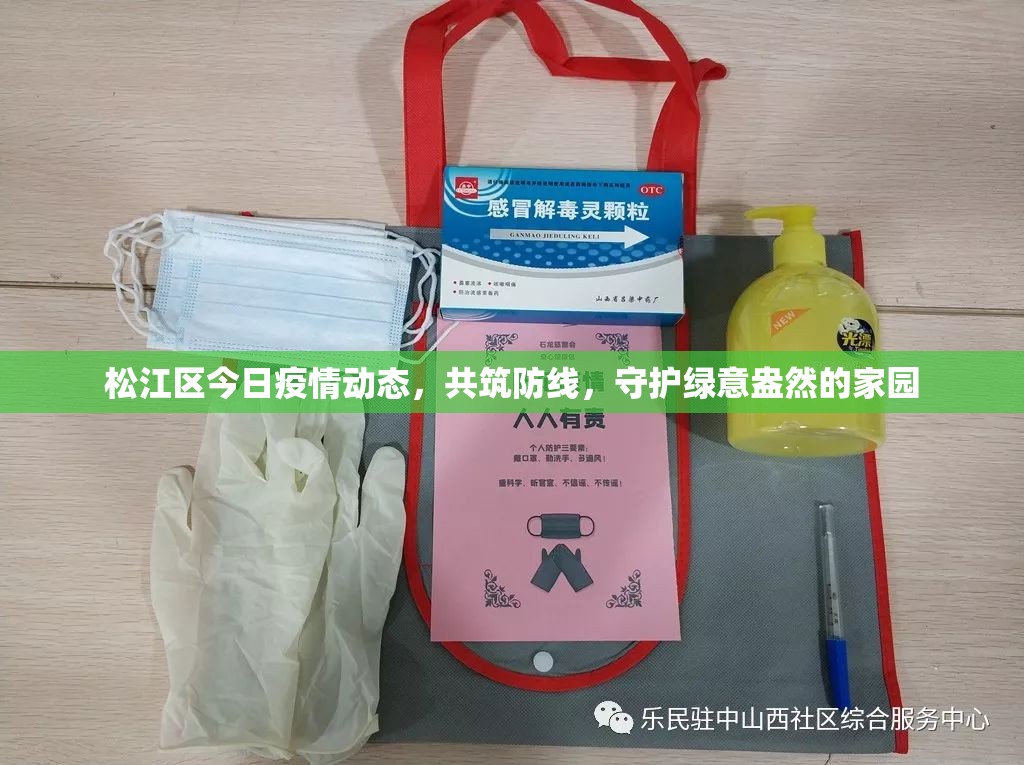 松江區(qū)今日疫情動態(tài)，共筑防線，守護綠意盎然的家園