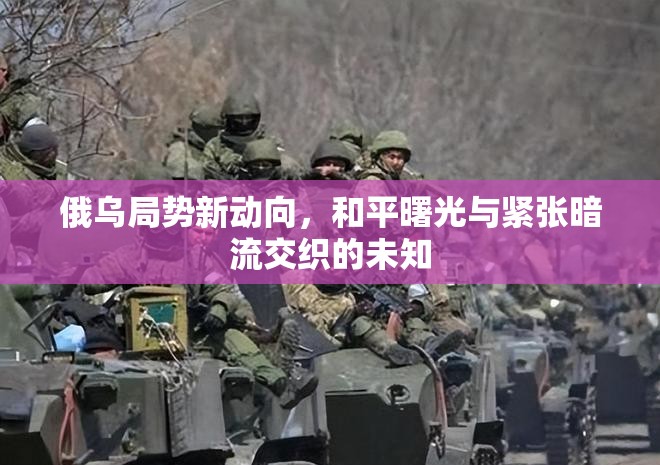 俄烏局勢新動(dòng)向，和平曙光與緊張暗流交織的未知