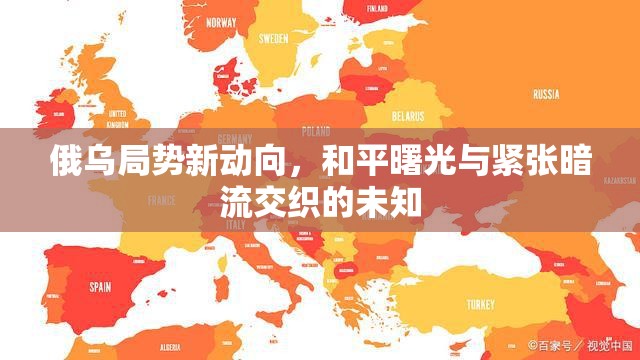 俄烏局勢新動(dòng)向，和平曙光與緊張暗流交織的未知