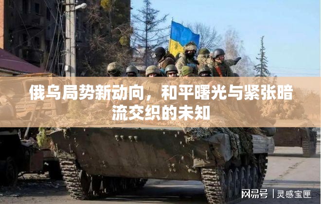 俄烏局勢新動(dòng)向，和平曙光與緊張暗流交織的未知