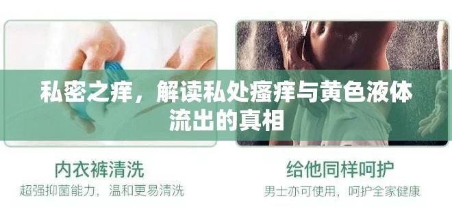 私密之癢，解讀私處瘙癢與黃色液體流出的真相