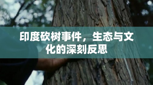 印度砍樹事件，生態(tài)與文化的深刻反思