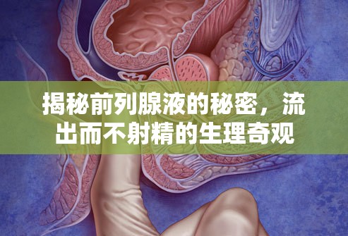 揭秘前列腺液的秘密，流出而不射精的生理奇觀