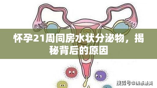 懷孕21周同房水狀分泌物，揭秘背后的原因