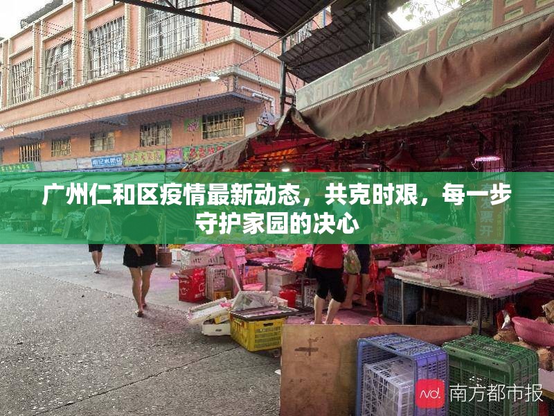 廣州仁和區(qū)疫情最新動(dòng)態(tài)，共克時(shí)艱，每一步守護(hù)家園的決心