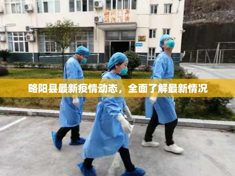 略陽縣最新疫情動態(tài)，全面了解最新情況